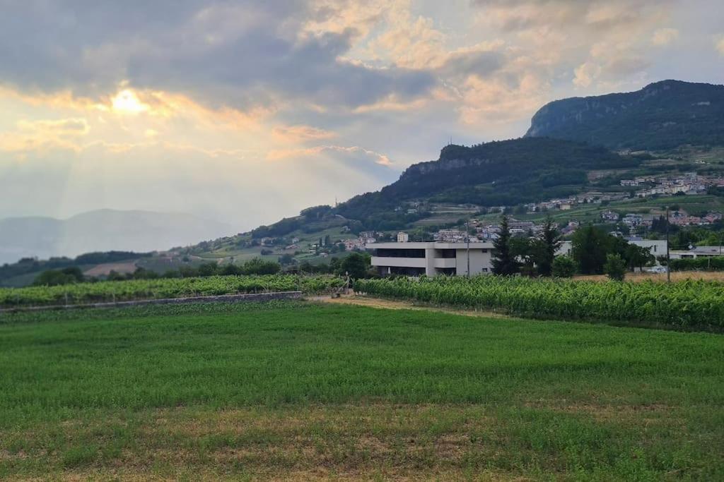 Appartamenti Moderni, Luminosi E Tranquilli Con Parcheggio Privato - Agritur La Tenuta Trient Exterior foto