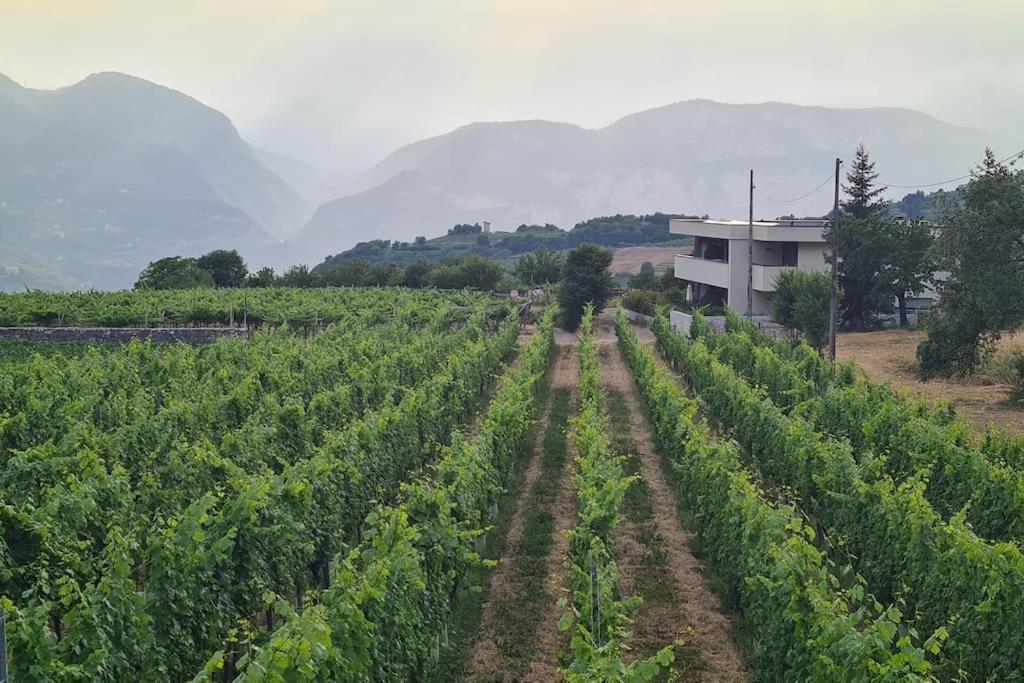 Appartamenti Moderni, Luminosi E Tranquilli Con Parcheggio Privato - Agritur La Tenuta Trient Exterior foto