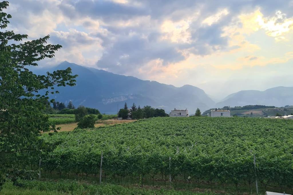 Appartamenti Moderni, Luminosi E Tranquilli Con Parcheggio Privato - Agritur La Tenuta Trient Exterior foto