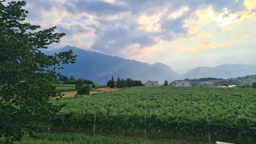 Appartamenti Moderni, Luminosi E Tranquilli Con Parcheggio Privato - Agritur La Tenuta Trient Exterior foto
