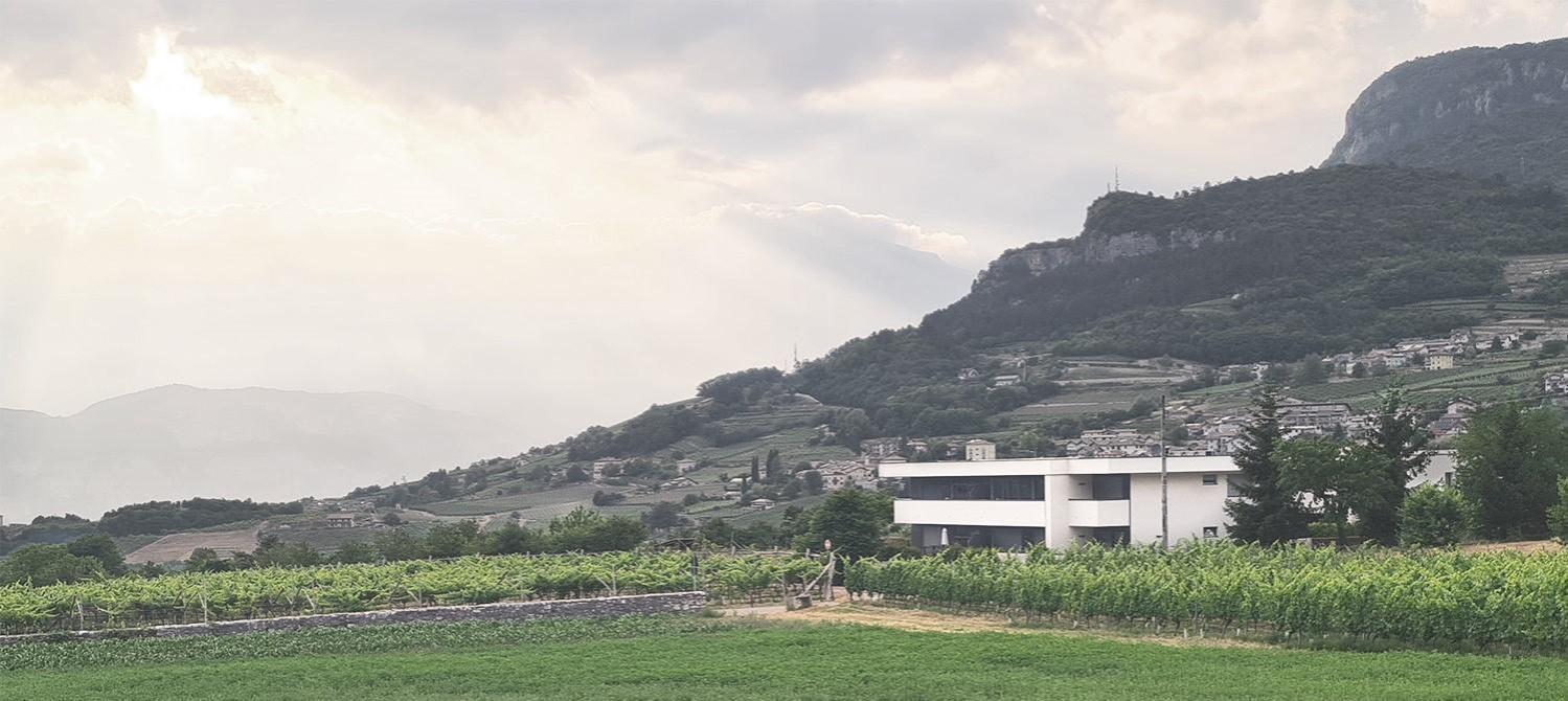 Appartamenti Moderni, Luminosi E Tranquilli Con Parcheggio Privato - Agritur La Tenuta Trient Exterior foto