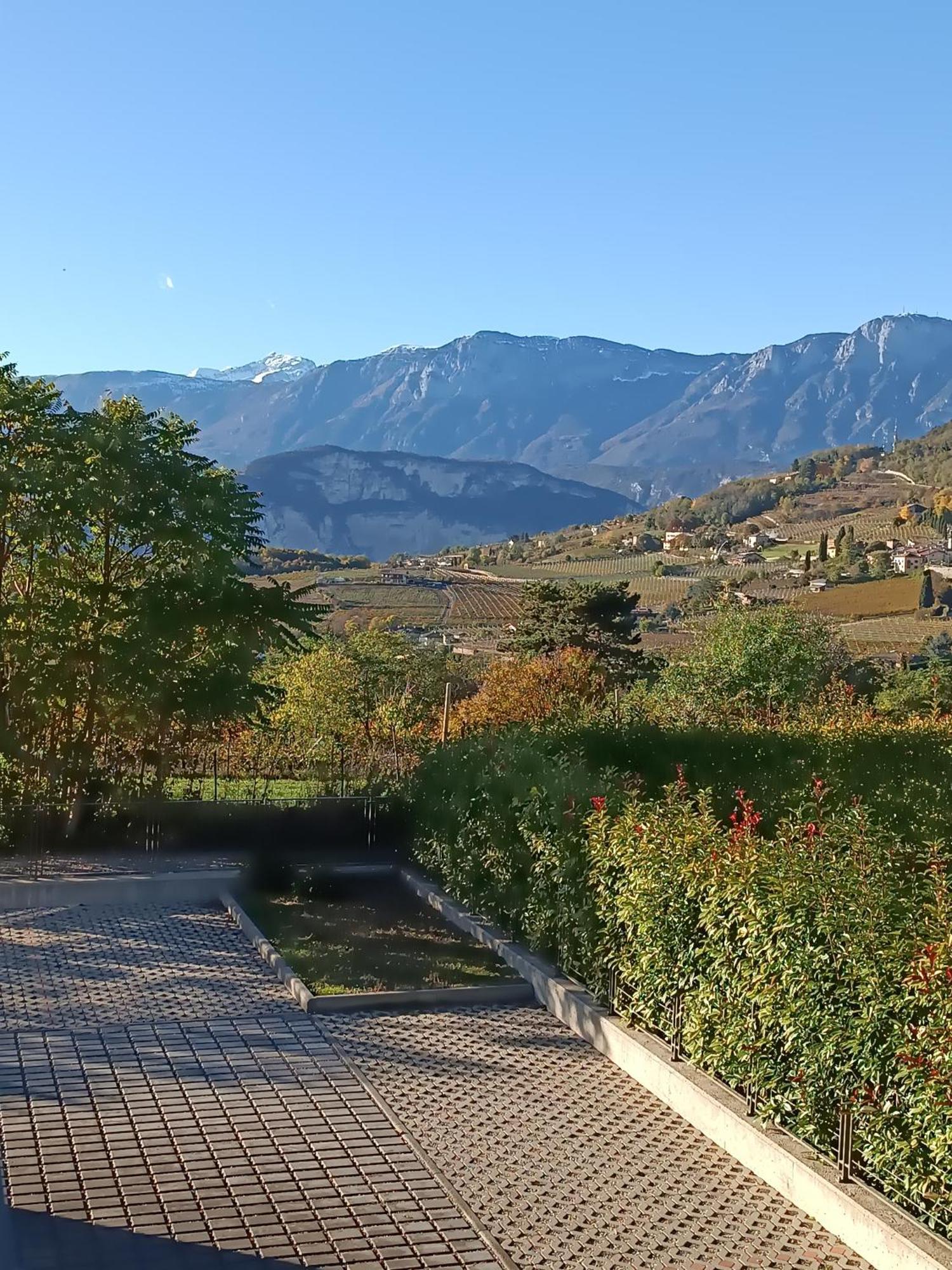 Appartamenti Moderni, Luminosi E Tranquilli Con Parcheggio Privato - Agritur La Tenuta Trient Exterior foto