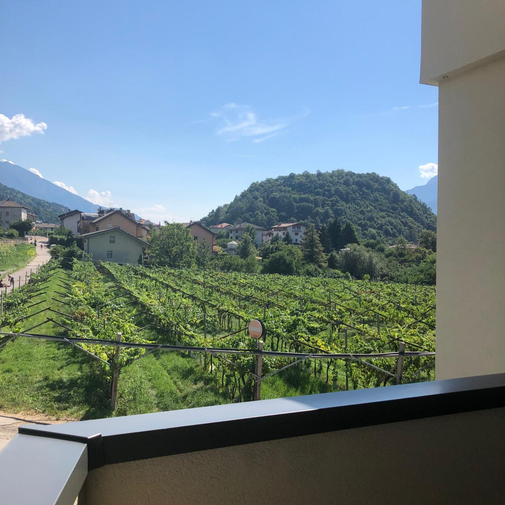 Appartamenti Moderni, Luminosi E Tranquilli Con Parcheggio Privato - Agritur La Tenuta Trient Exterior foto