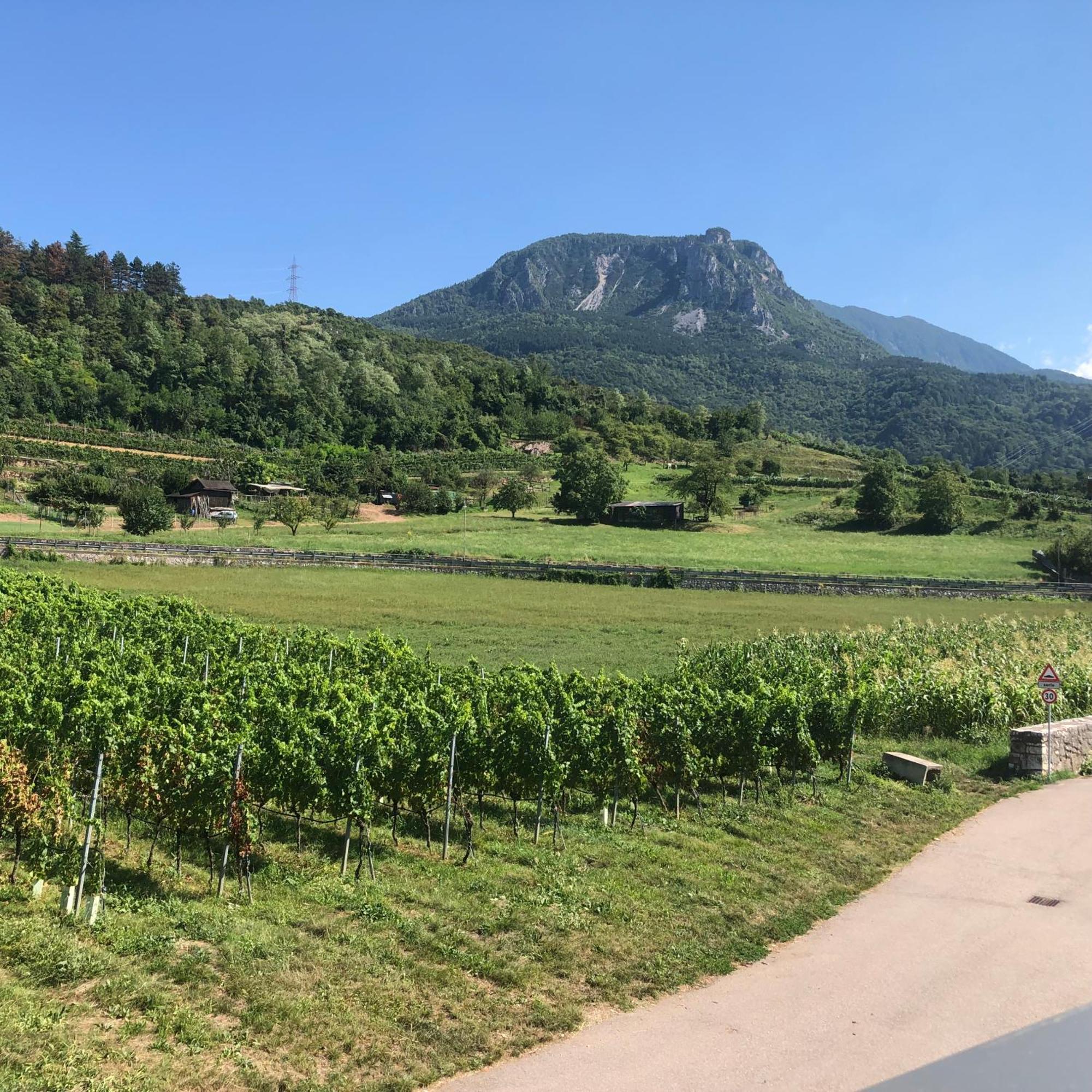Appartamenti Moderni, Luminosi E Tranquilli Con Parcheggio Privato - Agritur La Tenuta Trient Exterior foto