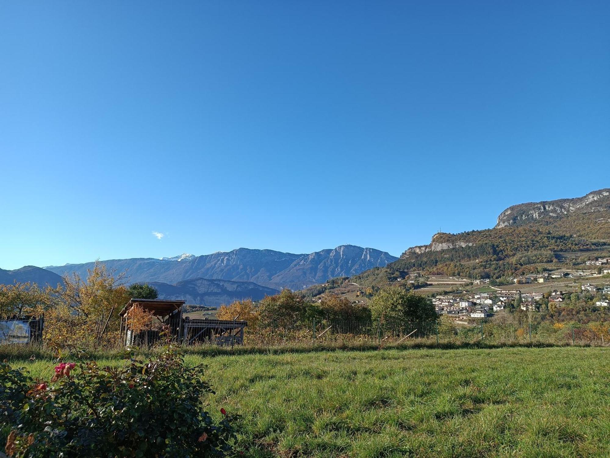 Appartamenti Moderni, Luminosi E Tranquilli Con Parcheggio Privato - Agritur La Tenuta Trient Exterior foto